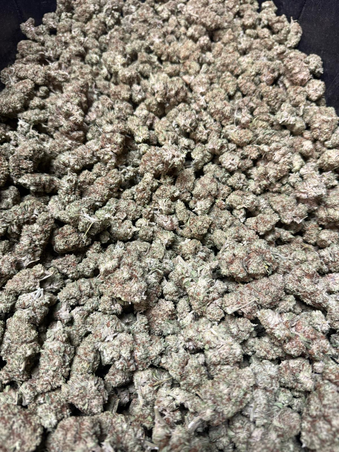 The White CBD